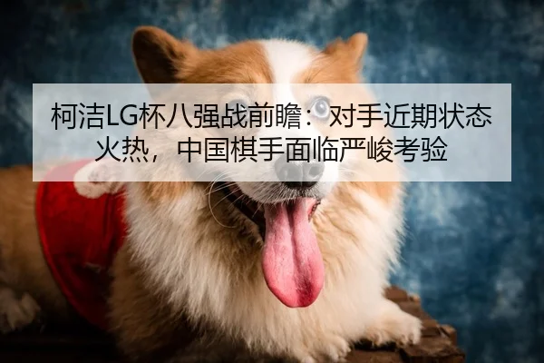 柯洁LG杯八强战前瞻：对手近期状态火热，中国棋手面临严峻考验
