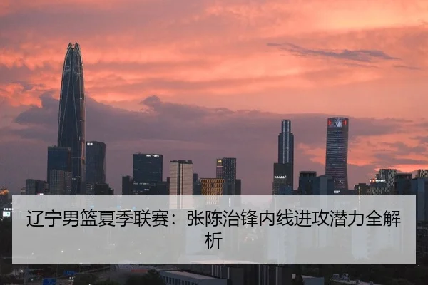 辽宁男篮夏季联赛：张陈治锋内线进攻潜力全解析
