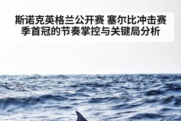 斯诺克英格兰公开赛 塞尔比冲击赛季首冠的节奏掌控与关键局分析