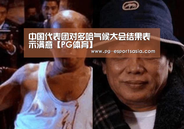 中国代表团对多哈气候大会结果表示满意【PG体育】(图2) PG篮球