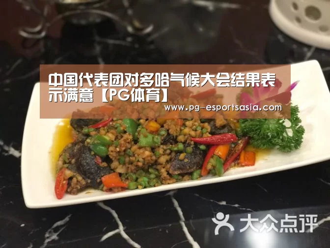 中国代表团对多哈气候大会结果表示满意【PG体育】(图1) PG体育